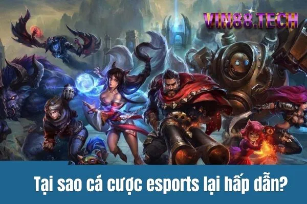 Tại sao cá cược esports lại hấp dẫn?